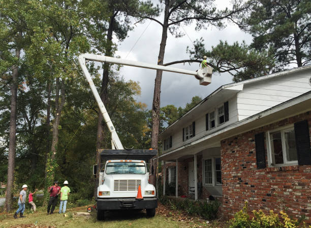 Best Seasonal Cleanup (Spring/Fall)  in Glenside, PA