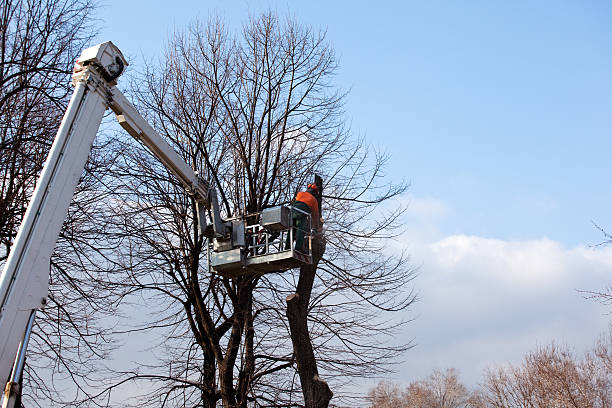 Landscape Design and Installation in Glenside, PA
