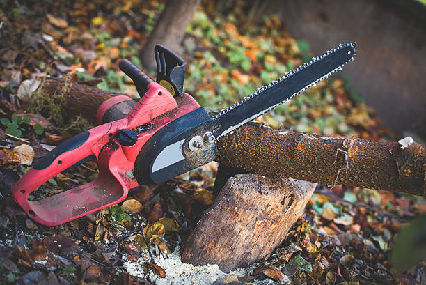 Best Commercial Tree Services  in Glenside, PA